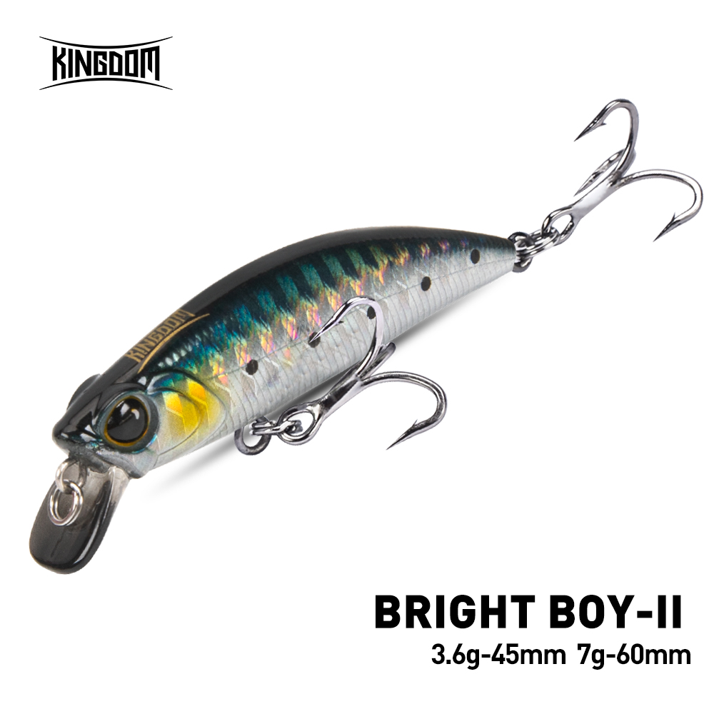 Fishing Lure Spoon - Kingdom coulant méné leurre de pêche